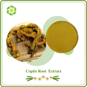 Coptis Root Extract with 98% Berberine for Supplement