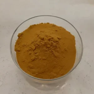 Cordyceps Militaris Extract Traditionally Used in Chinese Medicine
