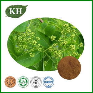 Cortex Phellodendri Powder for External Use