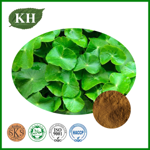 Cosmetic Gotu Kola Extract 3%-95% Asiaticoside
