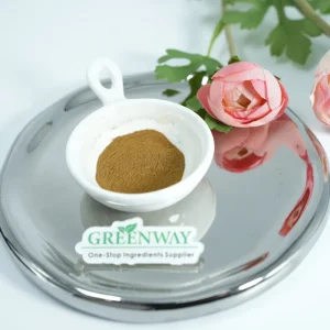 Cosmetic Grade Ingredients CAS 84696-21-9 Organic Bulk Powder Hydrocotyle Asiatica Extract for Skin Whitening