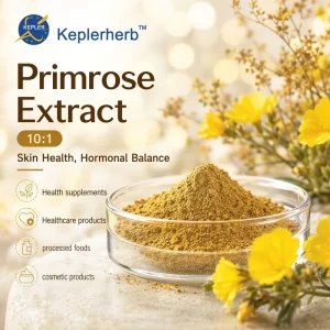 Cowslip Extract 10 1 Primula Veris Primrose Natural Cough Bronchitis Respiratory Calming Sedative Herbal Supplement OEM