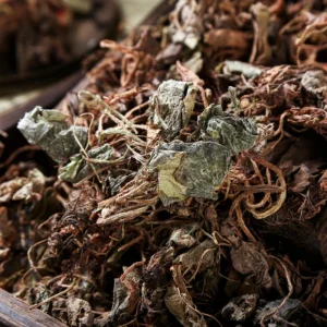 Creeping Rockfoil Hu Er Cao Herbal Medicine