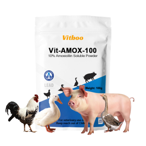 Custom 10% Amoxicillin Soluble Powder Medicine Gastrointestinal Tract Infection Treatment