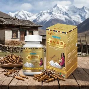 Custom Cordyceps Capsules and Dietary Supplements Rich in Adenosine Food Grade