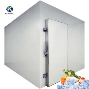 Customization Walk in Freezer for Medicine Preservation