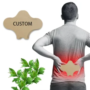 Customized New Arrival Chinese Transdermal Herbal Topical Analgesic Comfortable Spine Pain Relief Patch