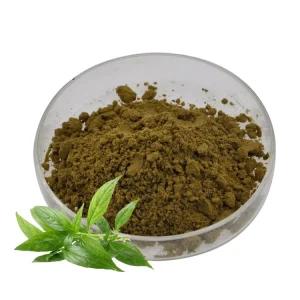Dietary Supplement Ingredient Andrographis Paniculata Extract Powder