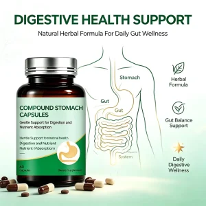 Digestive Health Capsules Herbal Formula Gut Support Supplement Stomach Comfort Digestive Enzyme Dietary Supplement OEM ODM