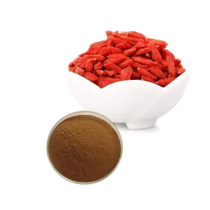 Direct Sales Men’s Health Supplement Chinese Wolfberry Extract Powder Food Grade Polysaccharides Shaanxi Extracted