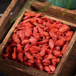 Direct Supply of Red Goji Berry