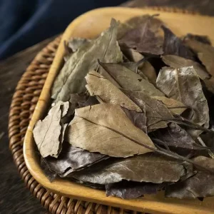 Dong Qing Ye Holly Leaf Chinese Herbal Products High Quality Ilex Chinensis Sims Health Foods Material for Diet Spices Leaves