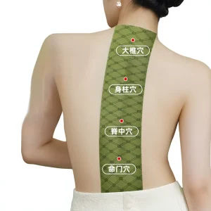 Dragon Bone Governing Vessel Mugwort Moxa Patch Feng Channel Moxibustion Warm Therapy for Cervical Thoracic Lumbar Spine Back