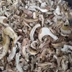 Dried Black Boletus (Porcini) Mushrooms for Hot Pot Soup