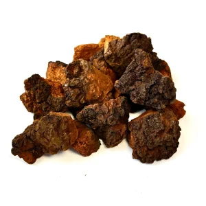 Dried Chaga Chunks Tea