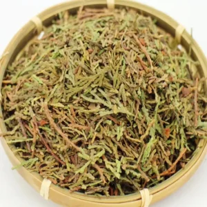 Dried Chinese Arborvitae Twig and Leaf Herbal Medicine for Tea