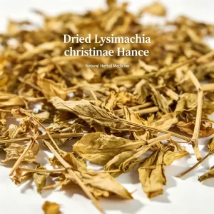 Dried Christina Loosestrife Herb Lysimachiae Herba Raw Herbal Leaf for Medicine Health Supplement Extract Raw Material