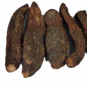 Dried Cistanche Deserticola Slices