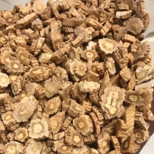 Dried Codonopsis Slices Dang Shen Natural Chinese Herbal Bulk Supply