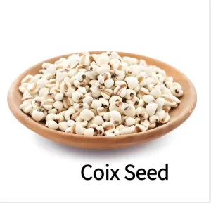 Dried Coix Seed Premium Raw Material for Daily Health Food Coix Seed