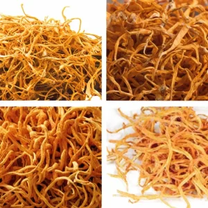 Dried Cordyceps Flowers Caterpillar Fungus Flowers Dried Cordyceps Militaris