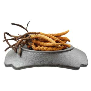 Dried Cordyceps Sinensis