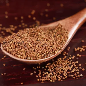 Dried Cuscuta Seed for Kidney Health & Vision Support Bulk OEM ODM