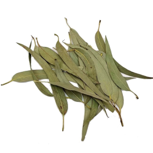 Dried Eucalyptus Leaves Natural Organic Chinese Herbs