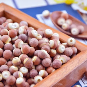 Dried Foxnut Seed for Traditional Chinese Medicine