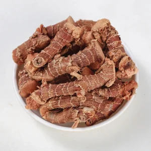 Dried Galangal Rhizome Premium Chinese Herb for Herbal Health Products