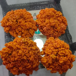 Dried Golden Ear Mushroom (Tremella aurantialba)