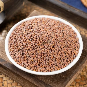 Dried Papermulberry Fruit Chu Shi Zi Chinese Herbal Medicine for Natural Liver and Kidney