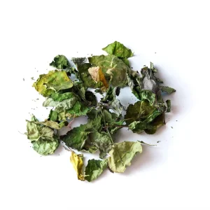 Dried Patchouli Herb Bulk | Natural Chinese Herbal | Factory Supply OEM