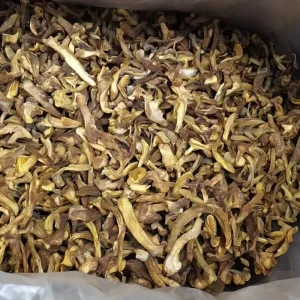 Dried Porcini Boletus Mushrooms