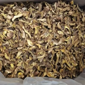Dried Porcini Mushrooms (Boletus Edulis)
