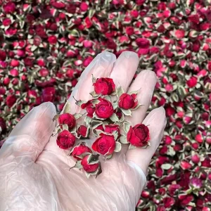 Bulk Natural Pure Dried Golden Edge Rose Flower Buds Edible Rose Detox Tea Loose Tea Grade a 50g