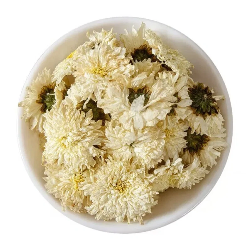 Dried Tribute Chrysanthemum Flower Herbal Tea for Wellness