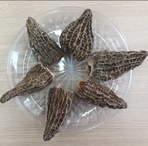 Dried Whole Black Morel Mushrooms (Morchella) Naturally Sun Dried No Additives