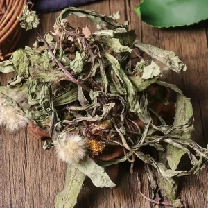 Dried Whole Dandelion Herb for Liver Detox & Digestive Support TCM Herbal Tea Bulk OEM ODM