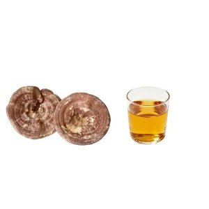 Drink Tea Reishi Mushroom Extract Powder 20% Beta Glucan