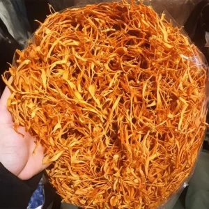 Dry Cordyceps Militaris Cordyceps Flower Natural Cultivation Edible Mushroom Healthy Food Dried Cordyceps Militaris