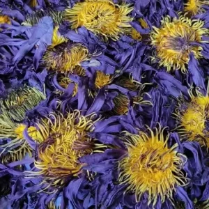 Dry Flowers Blue Lotus Flowers Chinses Lan Lian Hua Flower for Tea or Decorations