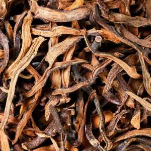 Drynaria Rhizome Gu Sui Bu for Holistic Health Solutions