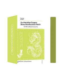 Du Meridian Longgu Herbal Moxibustion Magnetic Acupressure Patch Lumbar Pain Relief Waist Shoulder Leg Back Self-heating