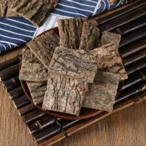 Du Zhong Natural Eucommia Ulmoides Traditional Chinese Herbal Dried Eucommia Ulmoides for Sale