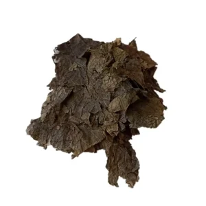 Du Zhong Ye Eucommiae Folium Leaves Chinese Herbal Leaf Eucommia Ulmoides Health Food Products for Men Kidney Fertility