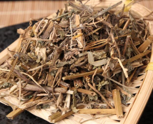 Duan Chang Cao Raw Material of Traditional Medicine Gelsemium Elegans