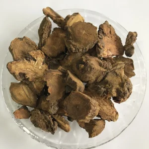 Dun Ye Suan Mo Crude Herbal Medicine Rumex Obtusifolius