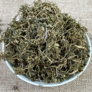 E Bu Shi Cao Bulk Herbal Medicine Dried Centipedae Minima Herb