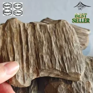 Eco3601 Large Box Shell Material (Quang Nam, Vietnam)2A 6-8Y Suitable for Lighting As Incense